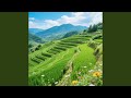 我好想你 （治愈鋼琴曲）