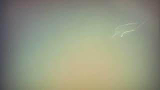 Leak7 Overlay Effect