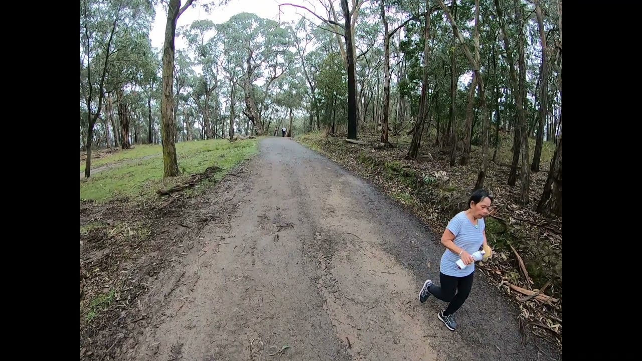 Walking Bellview Track Mount Dandenong, Victoria, Australia