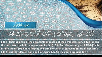 الشيخ محمود هاشم - سورة الشمس