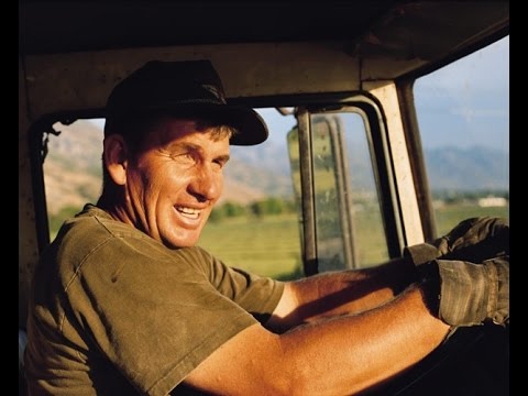 Статья 285. Оплата труда лиц, работающих по совместительству