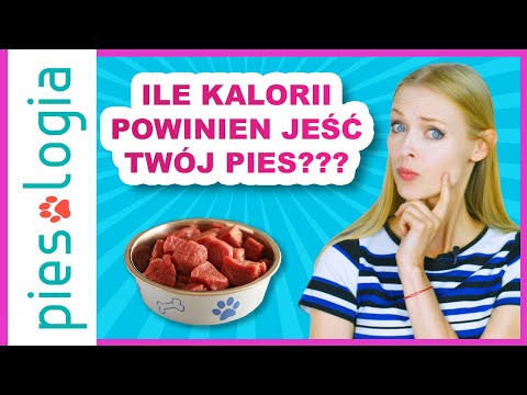 Wideo: Gry do kąpieli psów