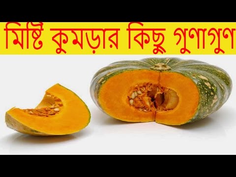 ভিডিও: কুমড়া অ্যানথ্রাকনোজ