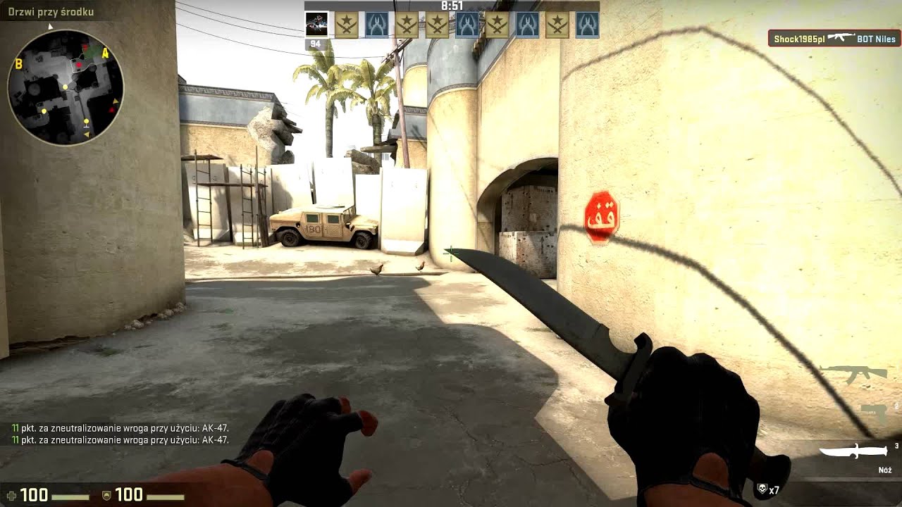 CS:GO AK Elite Build and P250 Valance - YouTube