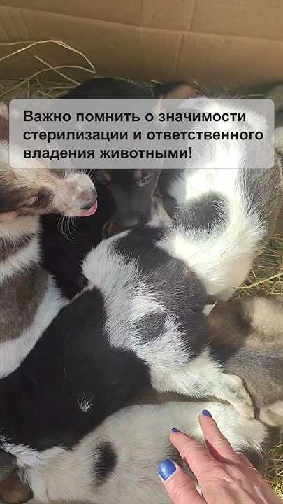 Безответственность - YouTube