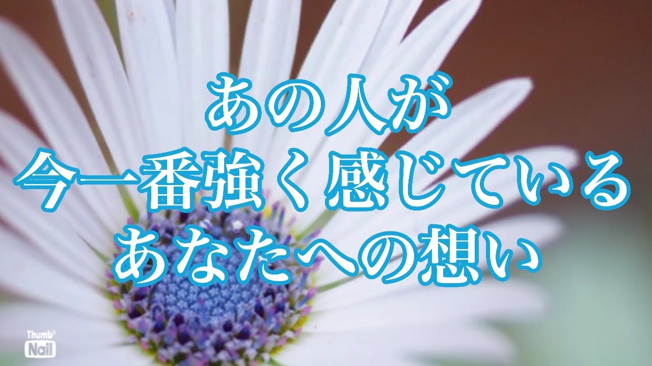 あの人が、今一番強く感じてるあなたへの想い💙💙💙