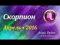 Скорпион, гороскоп Таро на апрель 2016