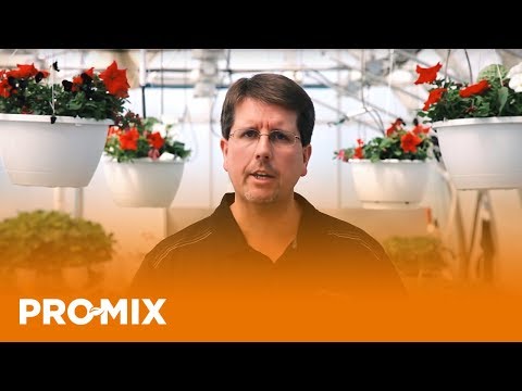 What Is The Role of Calcium in Plant Culture