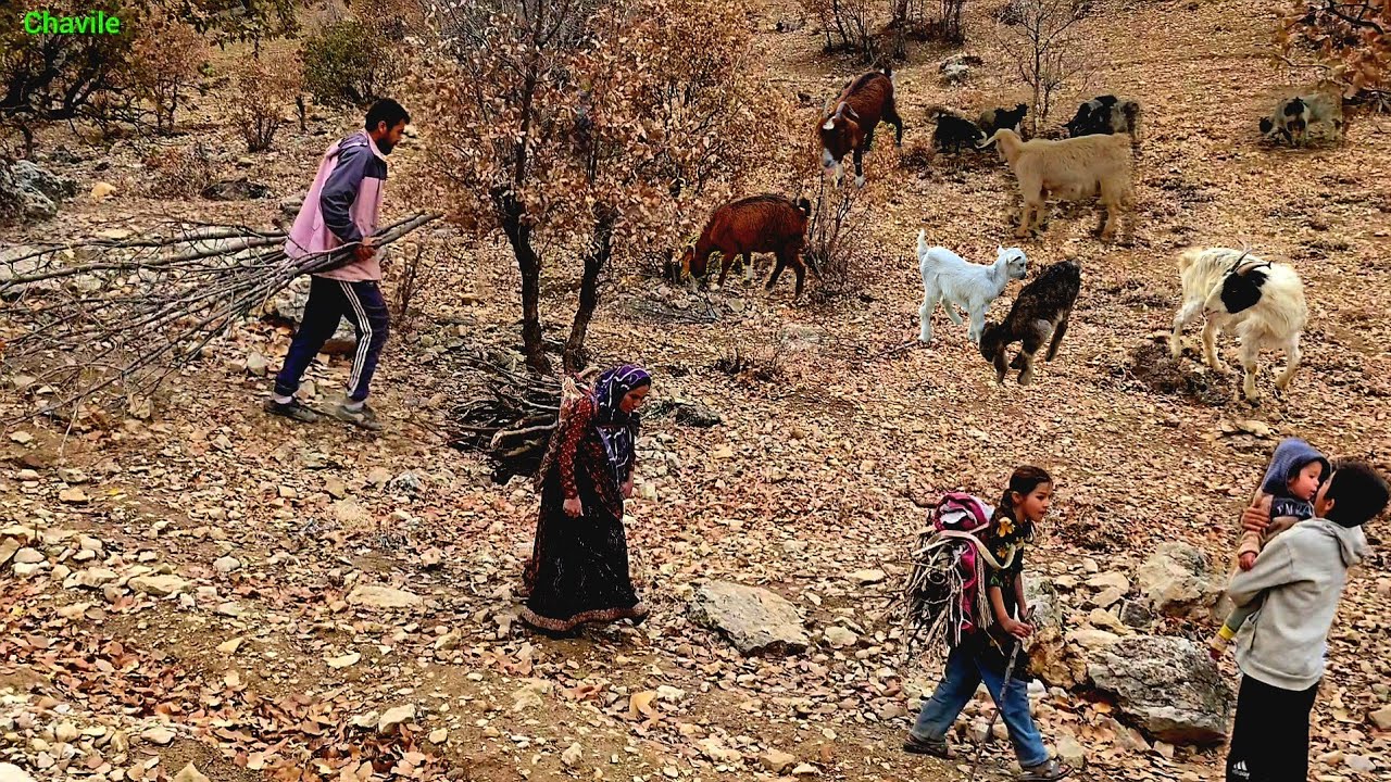 A hard nomadic day; collecting firewood and cooking traditional food in ...