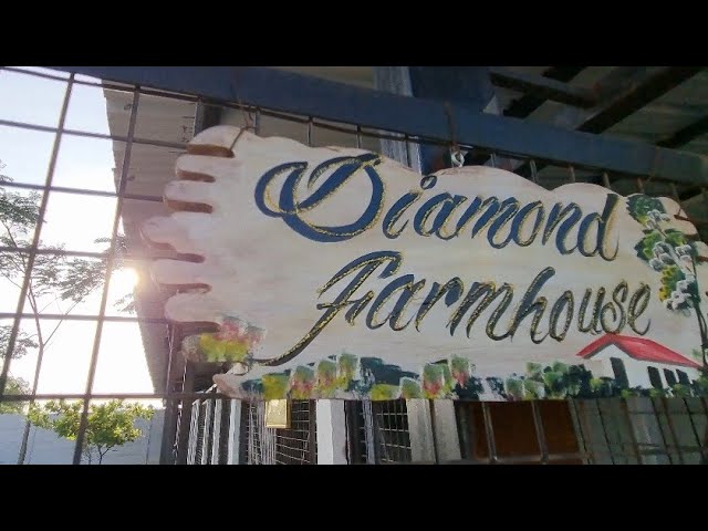 Short Trip To My Farmhouse 🏡 | Diamond Farm House🌳 class=