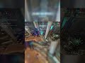 ¿Jade solo para soporte? ¡Descubre su verdadero potencial destructivo aquí!