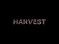 2020 Harvest at Casky [4K]