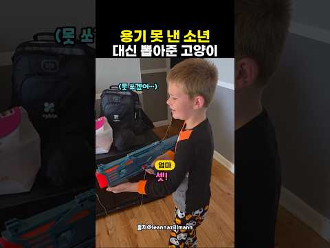 <strong>유치</strong> 대신 뽑아준 고양이