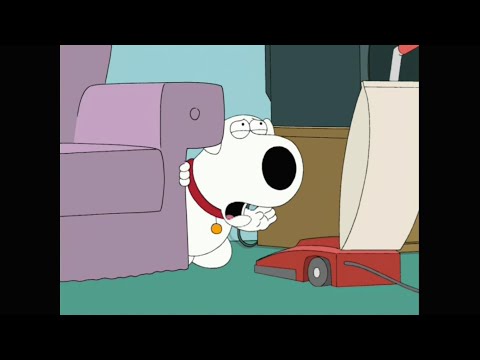 Brian's Nemesis... Mr. Hoover (Family Guy)