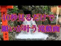 40秒間見るだけで願いが叶う滝動画#かなえ滝