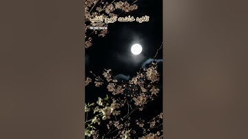 تلاوة خاشعه تريح القلب #إسلام_صبحي #تلاوة_هادئة #تلاوة_خاشعة #خواتيم_سورة_المؤمنون #سورة_المؤمنون