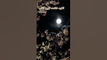 تلاوة خاشعه تريح القلب #إسلام_صبحي #تلاوة_هادئة #تلاوة_خاشعة #خواتيم_سورة_المؤمنون #سورة_المؤمنون