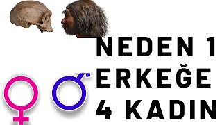 Neden 1 Erkeğe 4 Kadin Sözde Bi̇li̇msel İspati