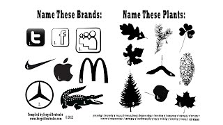 Foraging Quiz | Plants vs. Brands 🌱