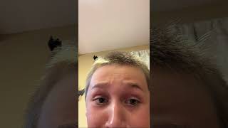 Buzz cut