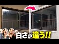 【DIY】ボロ家のカビだらけの窓枠を一掃！三度塗りで真っ白に生まれ変わる！