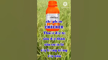 chế phẩm CHECKER - Thuốc đặc trị sâu đục thân, sâu cuốn lá, rầy lương trắng, rầy nâu-#hailúa_bạcliêu
