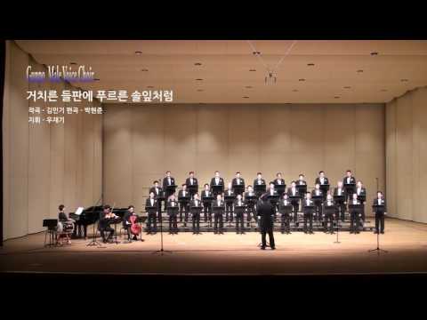 거치른 들판에 푸르른 솔잎처럼