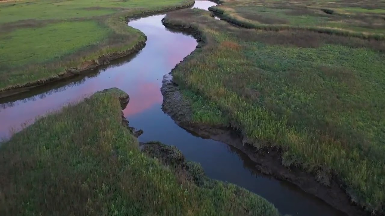 أثر الناقد السلبي الداخلي 3 على الذات للدكتور بشير الرشيدي