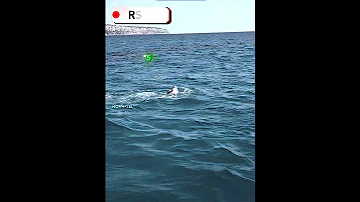 Ronaldo S Surfing Skills 