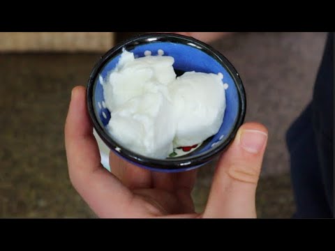 Making Real Yogurt At Home   An Ancient Recipe