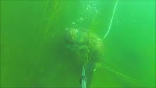 система хука buceo подводный поиск с дыхательным аппаратом sistema triton mini hookah dive
