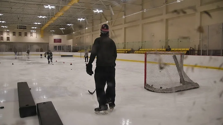Danielle (Dani) Ammons Skill Session Jan 2019