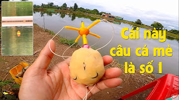 FISHING . NGẮM  PHAO CÁ MÈ ĂN CŨNG PHÊ ĐÂU THUA CÂU ĐÀI.