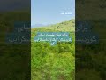 سردشت
