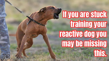 5 MUST have REACTIVE dog skills BEFORE you introduce TRIGGERS to STOP reactivity.