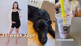 35-week appt \& baby sonogram, Pathos seeing the vet | pregnancy vlog