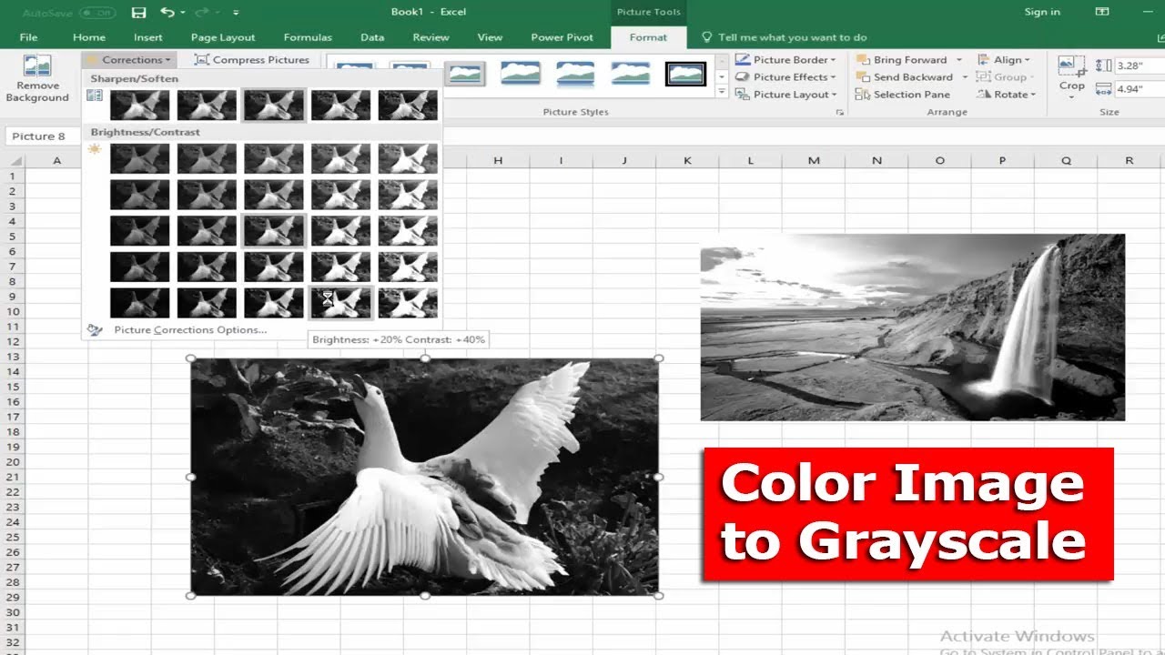 grayscale to color converter