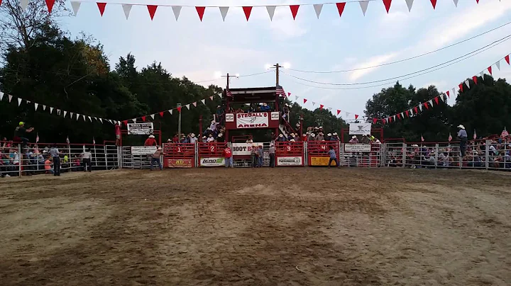 2016 BULLS AND BAND 4 Bulls and 4 Riders Bucking a...