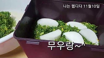 냉이김치