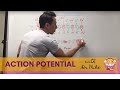 Action Potential | Neuron