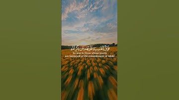 { أَفَمَن شَرَحَ اللَّهُ صَدْرَهُ لِلْإِسْلَامِ } تلاوة خاشعة من سورة الزمر 🤍#اكسبلور #القرآن_الكريم