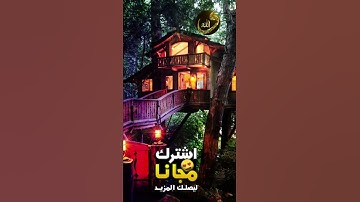 تلاوة قصيرة❤🌺صوت جميل💛🌼حالات واتس اب/انستقرام بدون حقوق