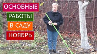 видео: НЕ ЗАБУДЬТЕ СДЕЛАТЬ ЭТО В САДУ В НОЯБРЕ! картинка: НЕ ЗАБУДЬТЕ СДЕЛАТЬ ЭТО В САДУ В НОЯБРЕ!