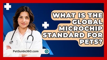 What Is The Global Microchip Standard For Pets? - PetGuide360.com