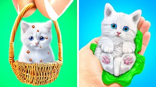 Super Slime Saved This Poor Kitten😿 Secret Hacks for Pet Owners! by TooTool 5,883 views 6 days ago 2 hours, 38 minutes