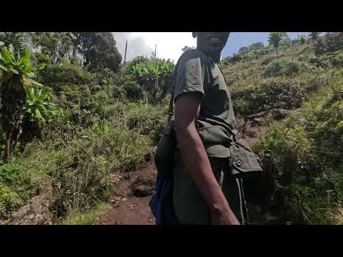 Mount Bisoke (3711 m asl) — steep terrain | Rwanda