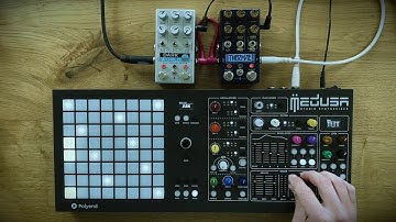 Polyend Instruments Ensemble (Medusa, Seq, Preset, Poly2)