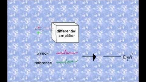 Voltage Measurements using Differential Amplifiers