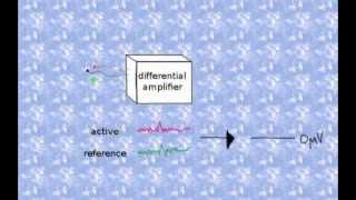 Voltage Measurements using Differential Amplifiers