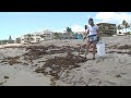 Palm Beach woman has a mission to keep beach clean